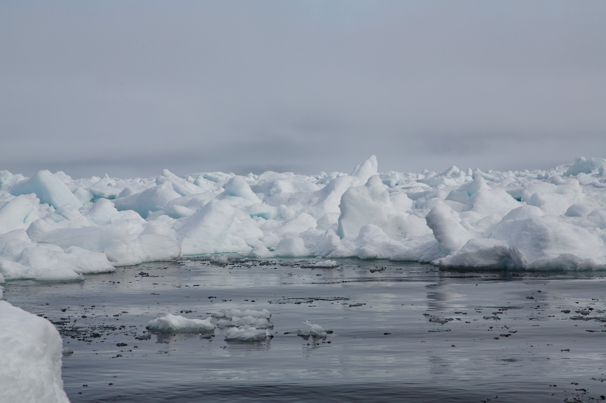 Arctic pack ice - Svalbard