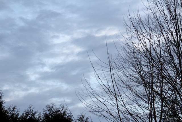 The Evening cloudy sky