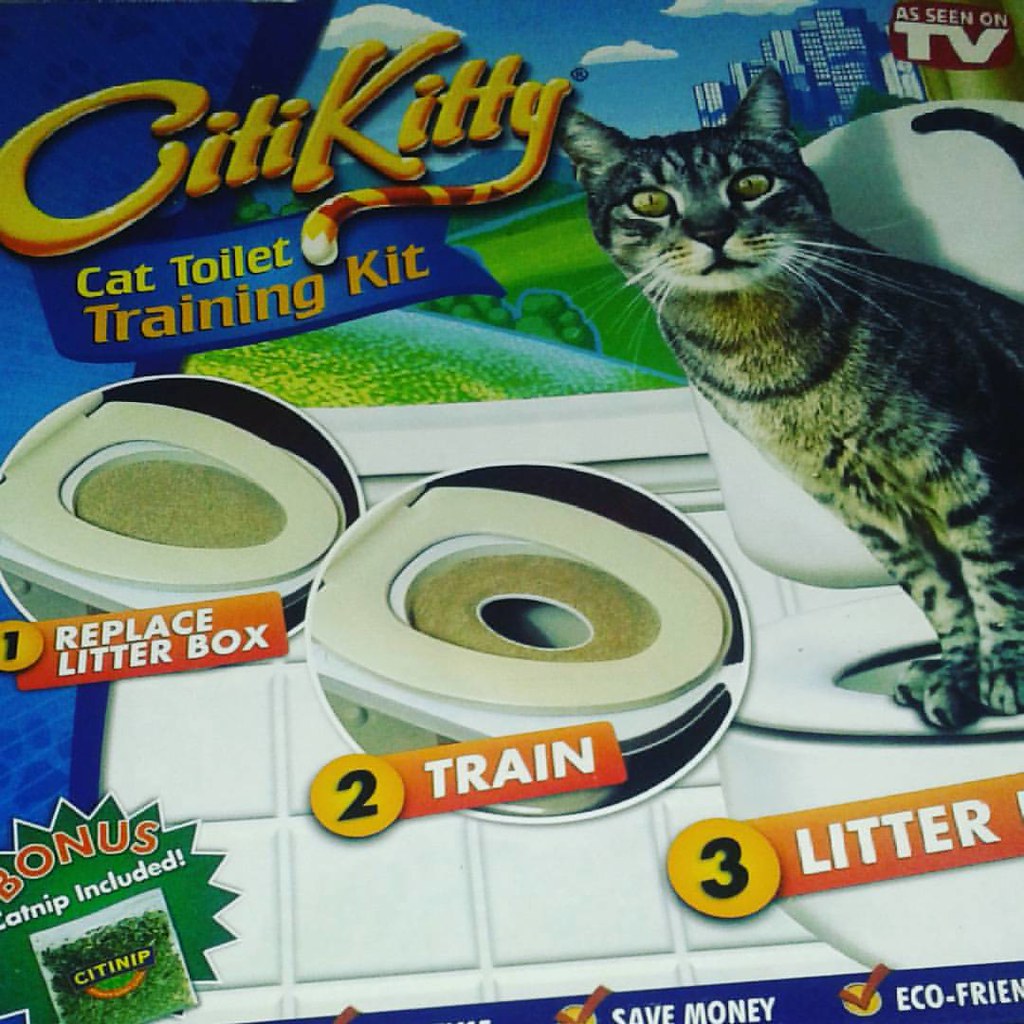 citikitty net worth 2017