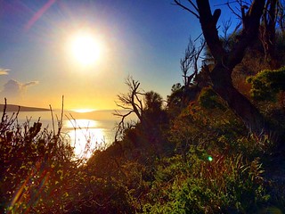 The sun late in the day at West Head! #upsticksandgo #exploring #beachlife #greensbeach #beach #travel #tasmania #tassiecoast #instagood #instatravel #instagram #discovertasmania #michfrost #westhead #narawantapu #nationalpark #nationalpark #sunset