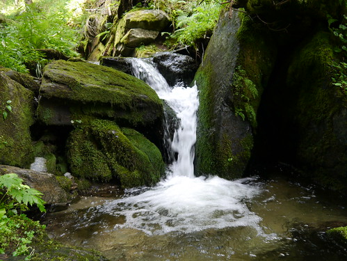 alps water creek forest austria österreich moss rocks whitewater wasser bach alpen wald niederösterreich moos autriche felsen loweraustria wildwasser hochwechsel themenweg themetrail wanderung20150725