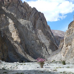 1 Ladakh Markha-vallei