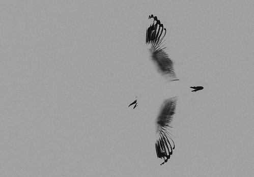 Xray | by MikeB WA