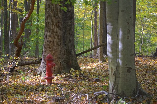 autumn hydrant fire indiana gathering labyrinth browncounty tls labyrinths waycross thelabyrinthsociety waycrosscampandconferencecenter waycrossconferencecenter