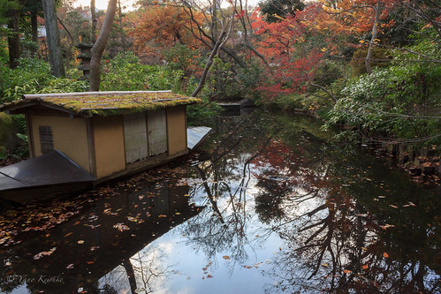 autumn japan garden tokyo pond 日本 東京 秋 池 庭園 根津美術館 nezumuseum