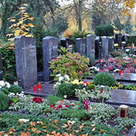 Gräberreihe von Billeder Verstorbenen neben dem Denkmal auf dem Karlsruher Hauptfriedhof