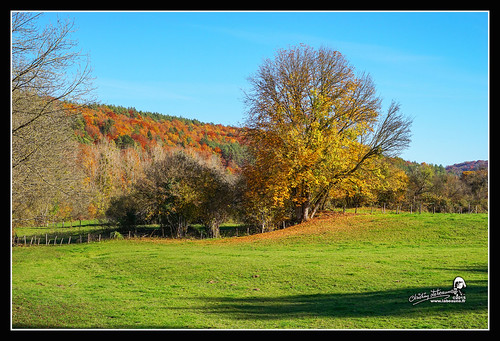 La Seine à 21400 Aisey-sur-Seine "2015" by Christian Labeaune, Impression du Châtillonnais, Bourgogne France...france automne paysages laseine 2015 bourgognecôtedo