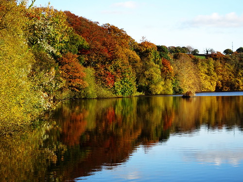 greenwaybankcountrypark knypersley knypersleyresevoir knypersleypool lake reservoir reflections trees autumncolours autumn autumncolour