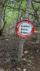 Manzanilla fruits warning sign