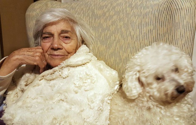 #compagnons #brothersincouch #elderly  #Mom #Birbo  #ToneSurTone #bichonfrise #bichon #ig_biella #puppy #caneMOSSO  #caneStaFERMO     #puppies #hundchen #chien #perritos #perro #cane #dog #caes #cao #cachorro  #valdengo #biella #biellese #pooch