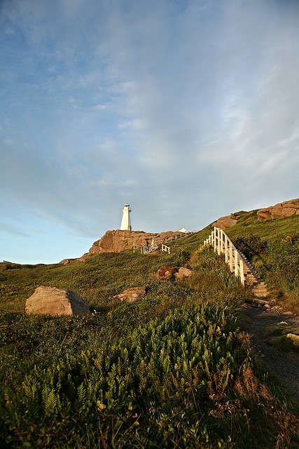 Cape Spear NHS (4)