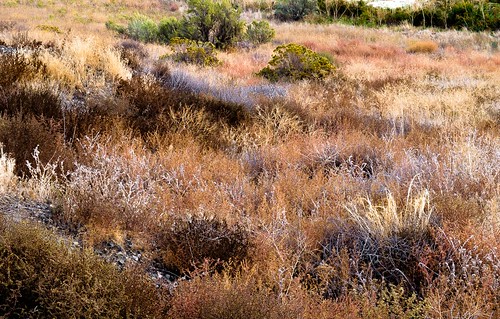 easternwashington landscape desert mcnarynwr fall autumn