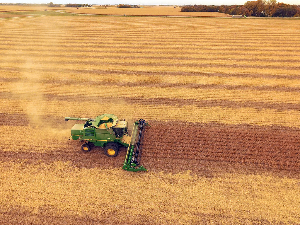 Drone combining  beans