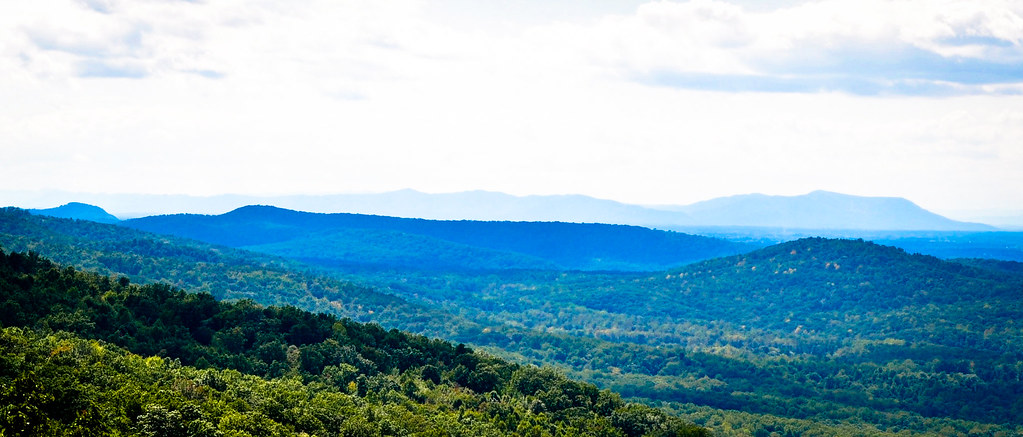 Bears Den