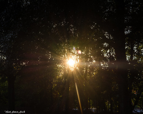 sc sunshine sunrise unitedstates southcarolina mornings sunrays naturephotography