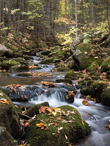 quebec megantic parcnationaldumontmegantic canada fall autumn colours stream