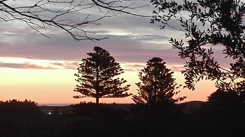 sunset red sky sun sunlight tree nature silhouette horizontal pinetree pine clouds sunrise outdoors photography coast view norfolk tranquility australia nopeople victoria coastal norfolkpine scenics warrnambool norfolkislandpine araucariaheterophylla colourimage norfolkislandpinetree australiaendemicnative