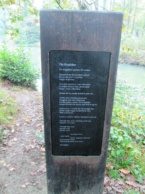 Ted Hughes Kingfisher Poem Stover Park