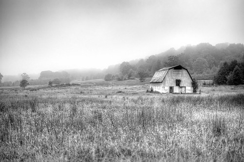 decay farmfields landscapes georgia grass barn arabiamountainnaturepreserve abandoned nikond70 foggy rural blackwhite