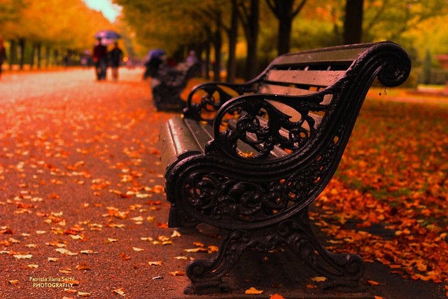 Dreamy autumn in Regent Park