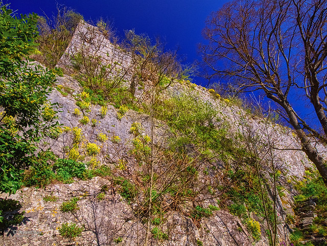Ostaci zida kaštela Kožljak na vrhu kamene litice