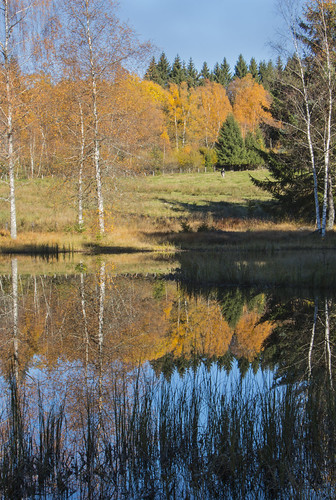 Etang au Haut-du-Tôt (Vosges) | by Jean-Michel Bolle