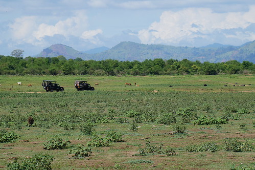 safari srilanka parcnational udawalawa