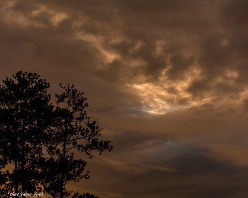 Sunset & the Tree by that_damn_duck, nature tree sunset sundown clouds