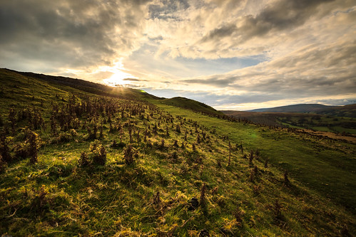 wales sun landscape sunset crick crickhowell nationalpark powys silhouette tree trees breconbeacons llangynidr mountain unitedkingdom gb