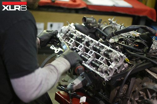 Torque head studs | by Excelerate Performance