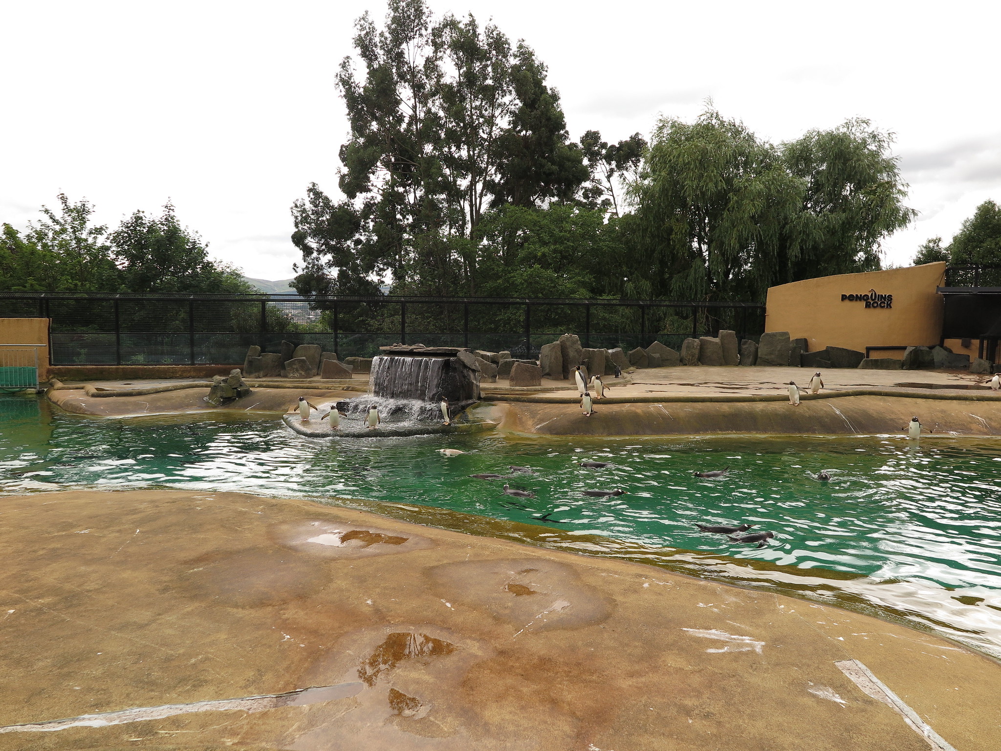 Zoo {Day 2} (Edinburgh)