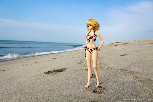 Bikini Beach