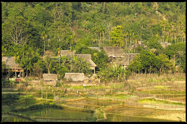Village  /  Pù Luông National Reserve