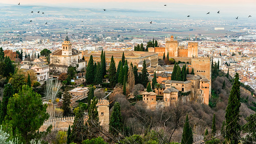 españa castle spain pigeons andalucia alhambra granada palomas andalusia nikond610