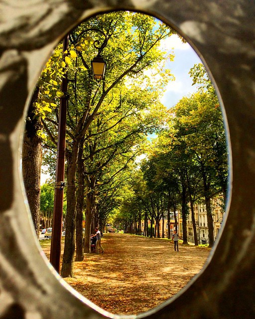 Versailles, France #landacape #landscape_lovers #ig_shotz #ig_trees #ig_europe #france_vacations #photography #photonovato #photoftheday #photographer #instagood #instagram #instadaily #paris #webstagram #travel #travel #traveling #phenomenalshot #backpac