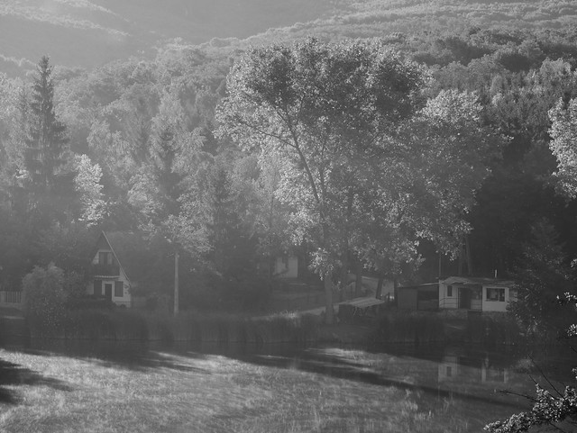 Morning mist at Bélapátfalva's lake