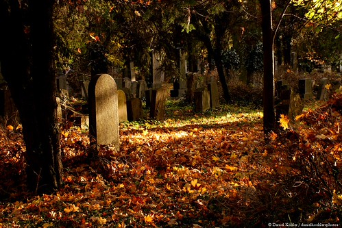 With the photographs there, and the moss by danielkoehlersphotos, allerseelen allsouls´day allerheiligen cemetery friedhof tombstone tomb zentralfriedhof wien vienna 