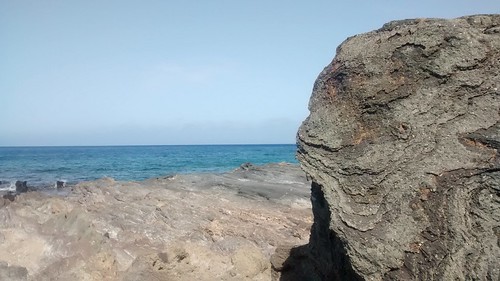lava mare iguana pantelleria isola rocciavulcanica