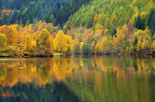 ericrobbniven scotland lochtummel loch landscape trees autumn autumnwatch