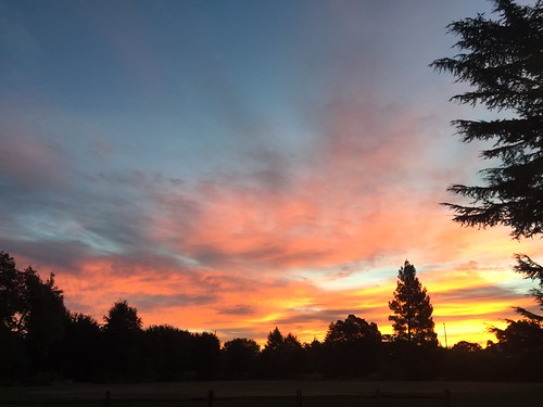 california morning sunrise walnutcreek