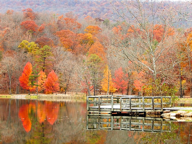 Fall in love with Virginia State Parks this autumn like here at Douthat State Park
