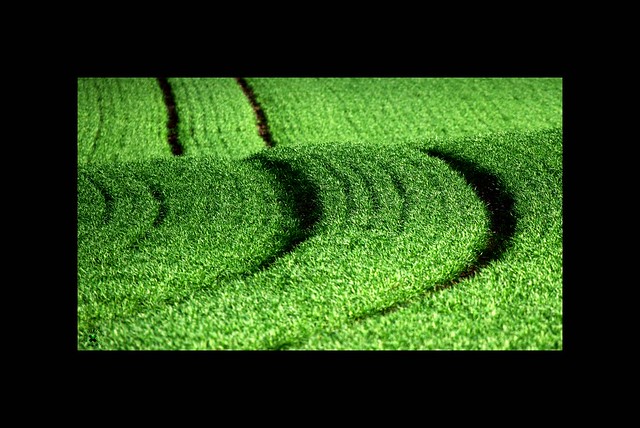 Traces in the Green