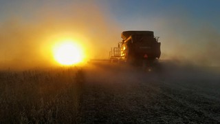 Soybean Harvest at Sunset