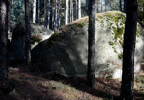 forest woods nikon stones south bohemia coolpixa