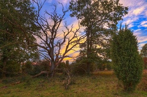 Lüneburger Heide 8 by Metal Maik, Sonnenuntergang vom 3.Oktober 2015, in der Lüneburger Heide, bei Niederhaverbeck, im Landkreis Heide
