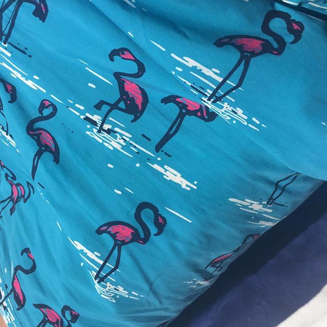 Yes. They are flamingos on my swim shorts #JollyWheelerHol… | Flickr