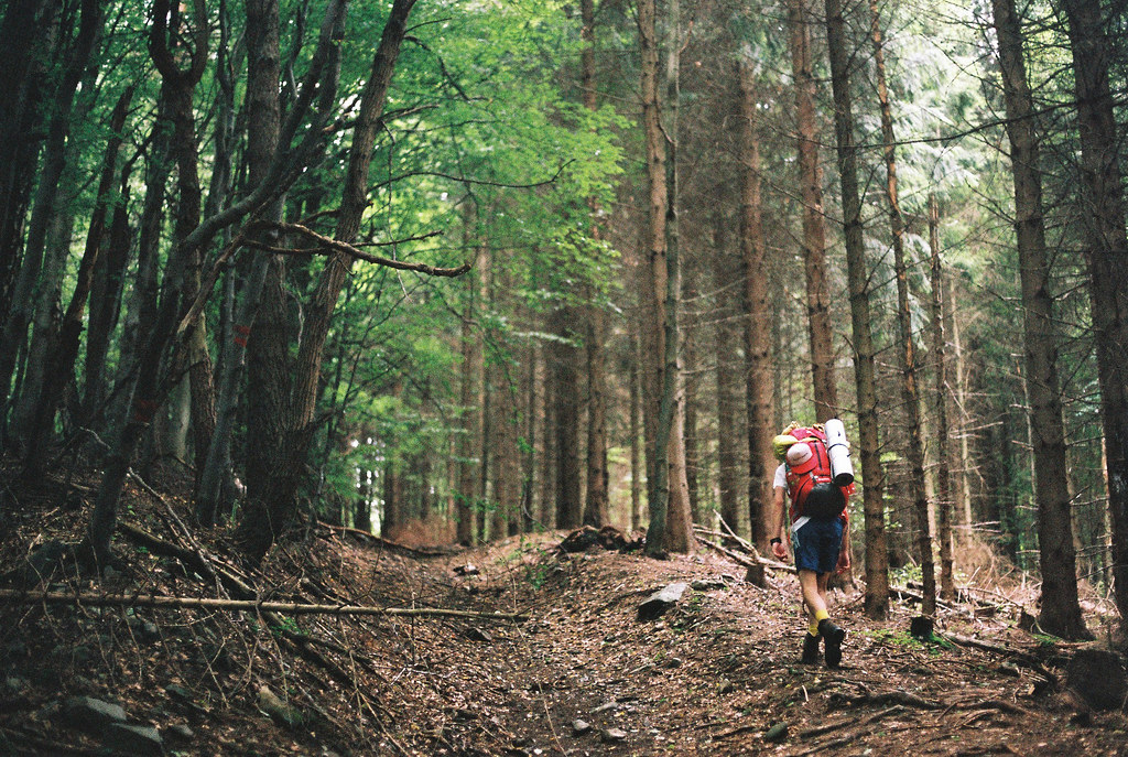 lost in forest | blog ~ facebook ~ tumblr | Jana Martish | Flickr
