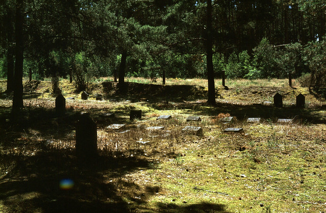 The old cemetery.