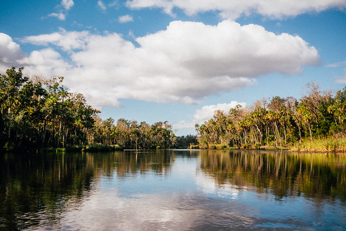 wild color green nature water clouds river landscape colorful florida outdoor palm boating tropical naturalbeauty paddling v1 waterway gulfcoast citruscounty nikon1 wildneress mirrorless thechaz chassahowitzka vsco