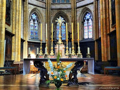 france dijon cathedral burgundy bourgogne cathédralestbenigne